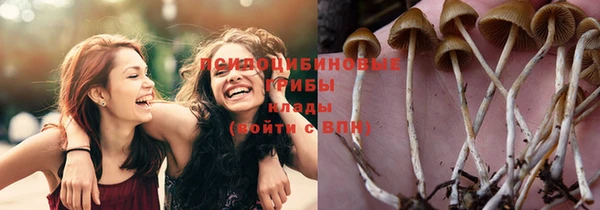 крисы Семилуки