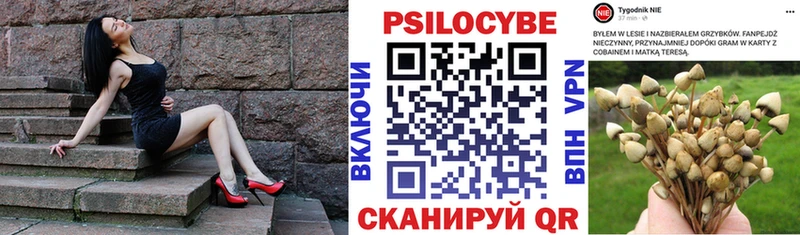 Галлюциногенные грибы мицелий  Купить  Красноярск 